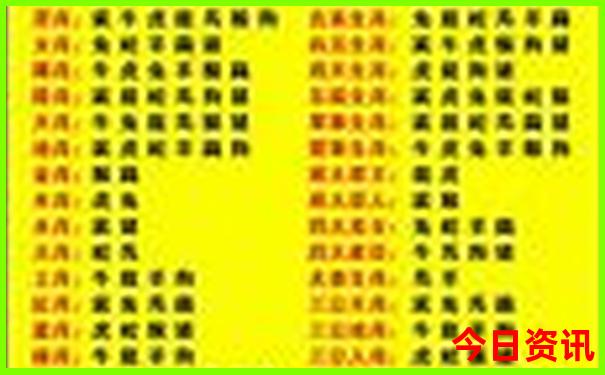 黄龙风景区和九寨沟哪个值得去